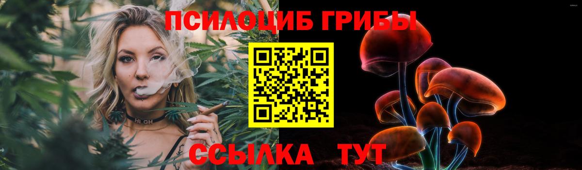 Шарыпово  Галлюциногенные грибы Cubensis  Вход с VPN  Галлюциногенные грибы GOLDEN TEACHER 